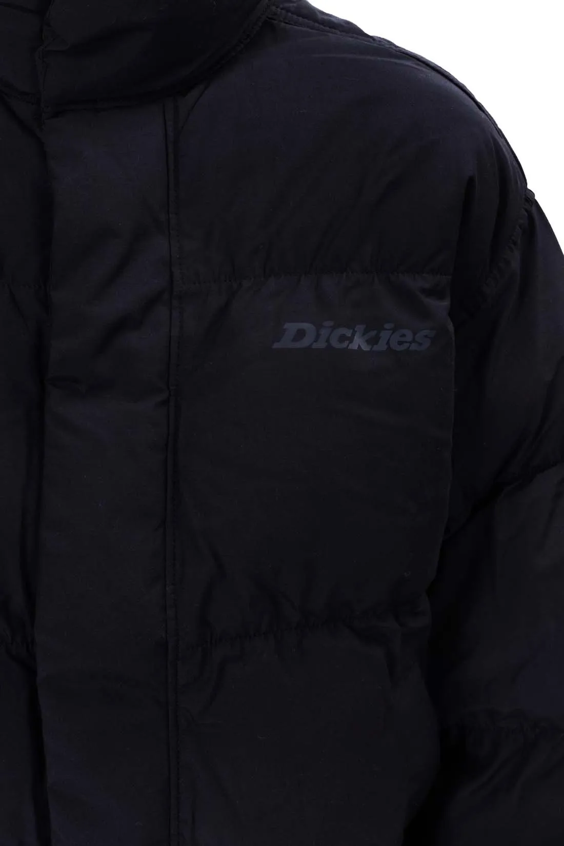 DICKIES Piumino donna Scobey 