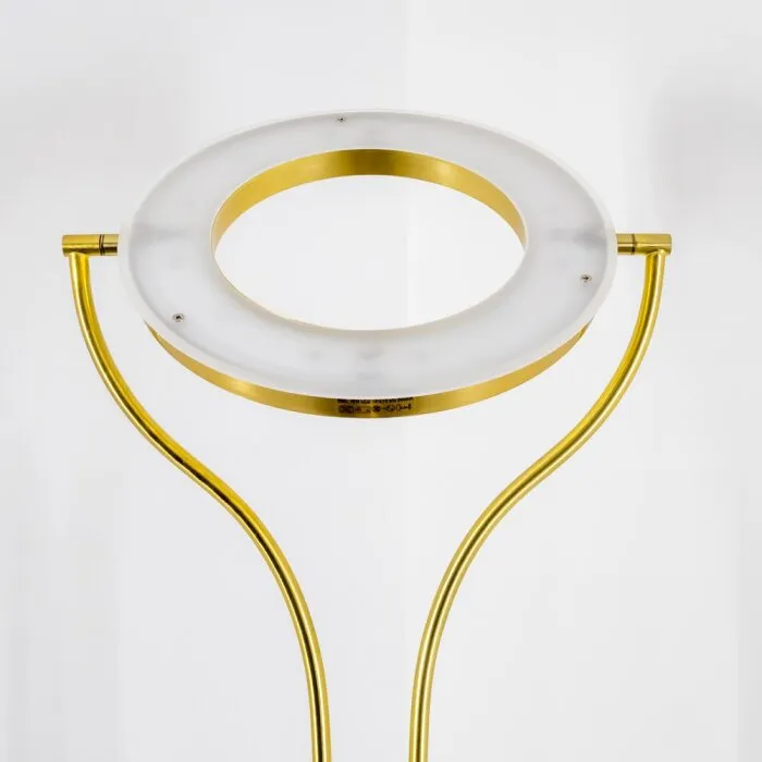 Donna Piantana LED Ottone, 2-Luci