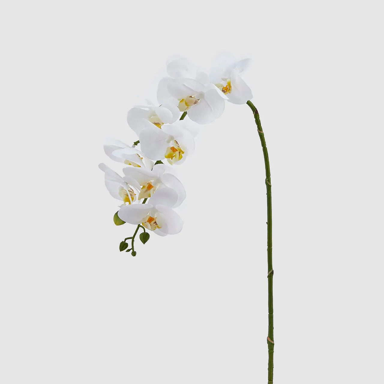 EDG - Enzo de Gasperi  Pianta artificiale ramo di Orchidea
