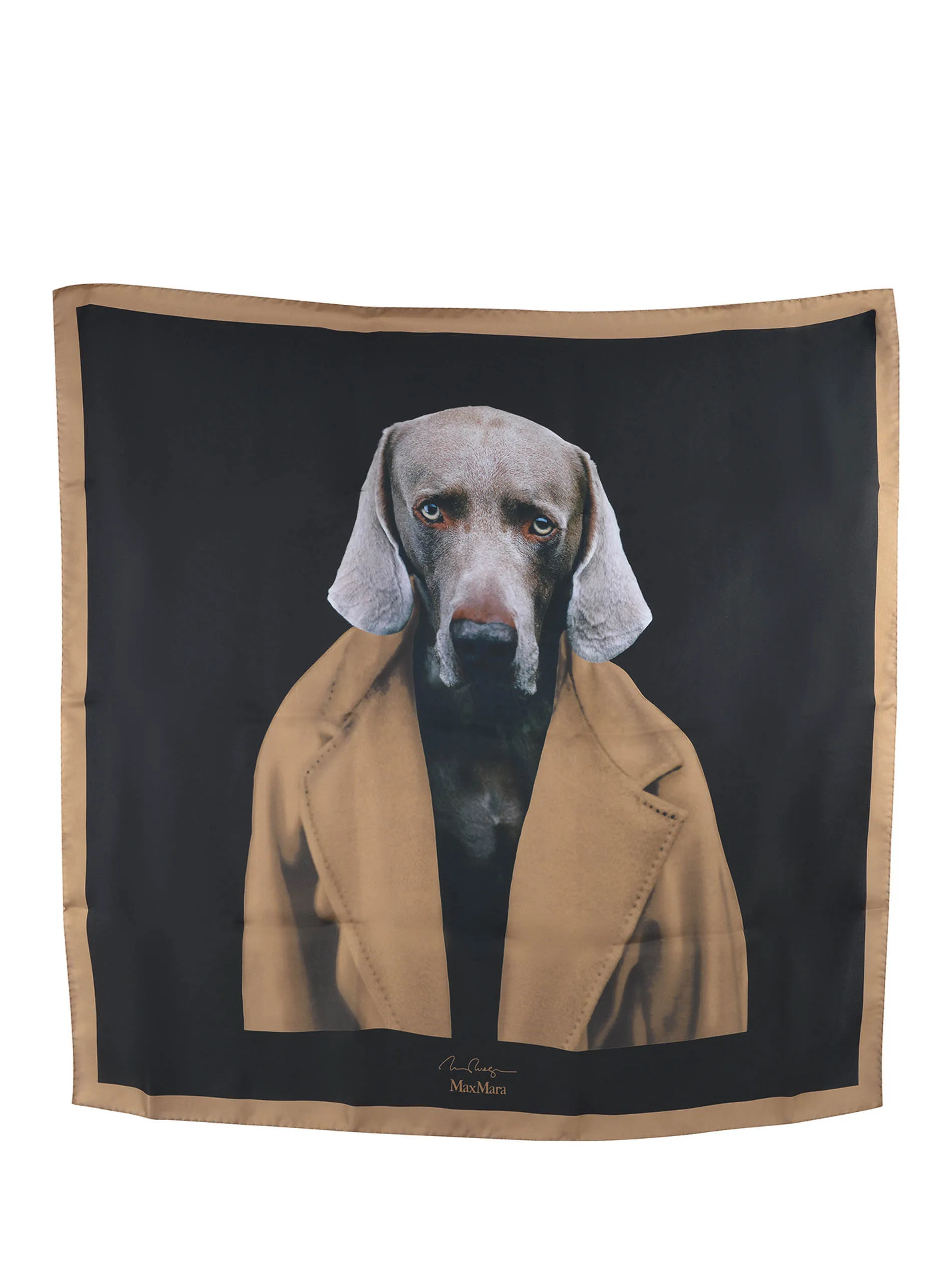  MAX MARA Foulard Max Mara 