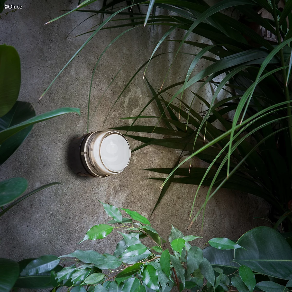 Oluce Fresnel Lampada da parete Outdoor
